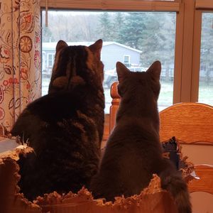 Meet your Posher, Karen